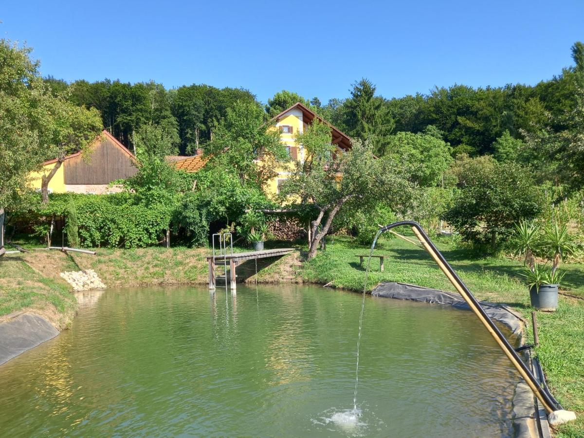 Appartement Weingut Schoberhof バート・グライヒェンベルク エクステリア 写真