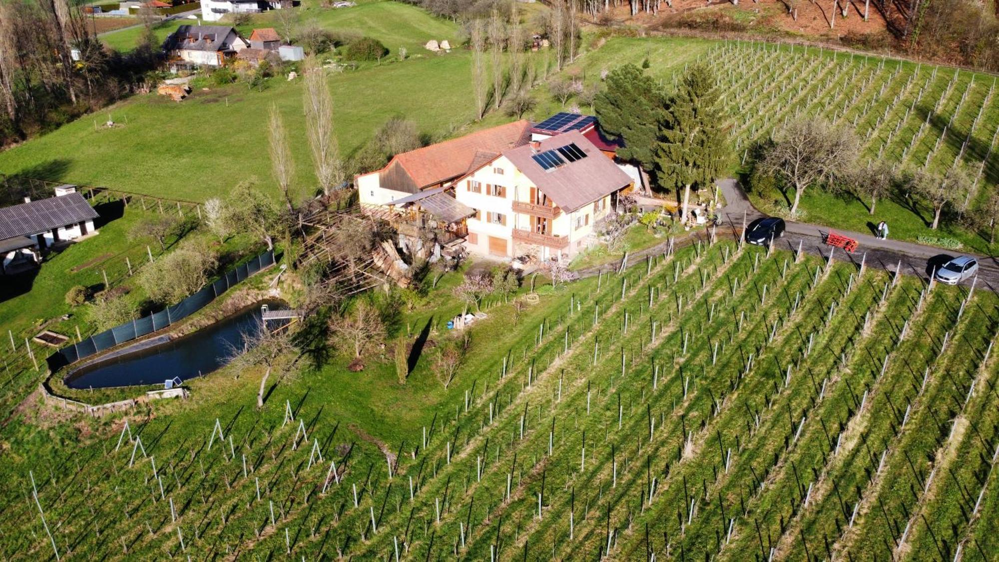 Appartement Weingut Schoberhof バート・グライヒェンベルク エクステリア 写真