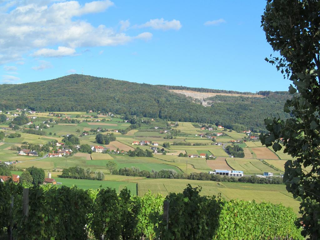 Appartement Weingut Schoberhof バート・グライヒェンベルク 部屋 写真