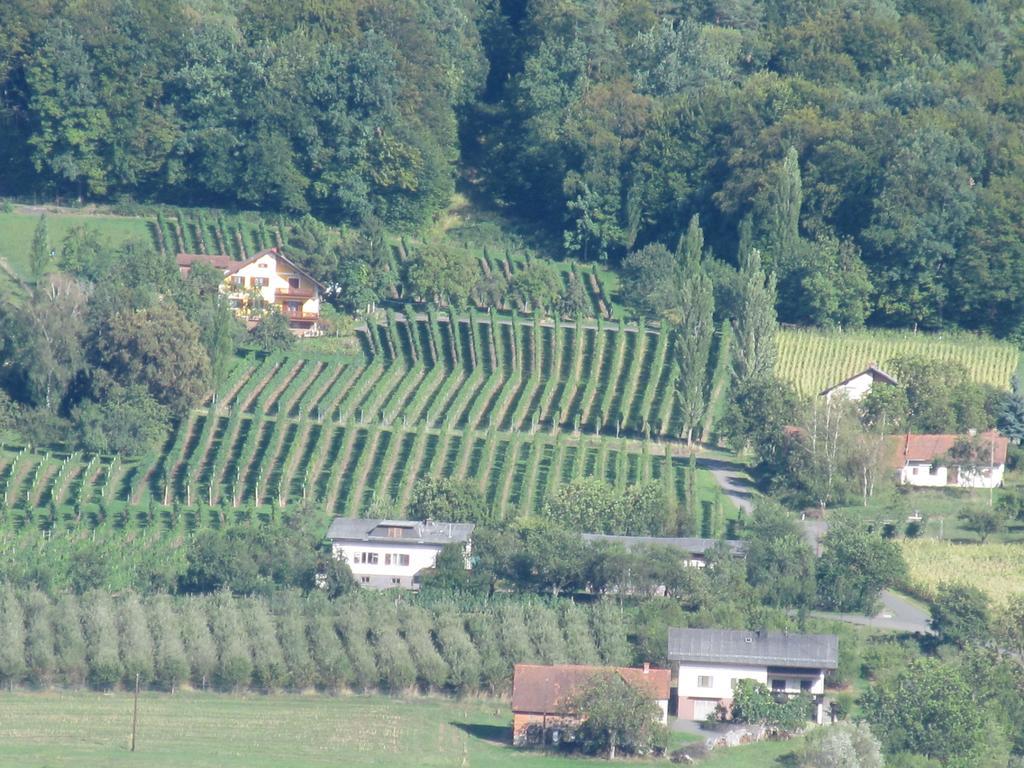 Appartement Weingut Schoberhof バート・グライヒェンベルク 部屋 写真