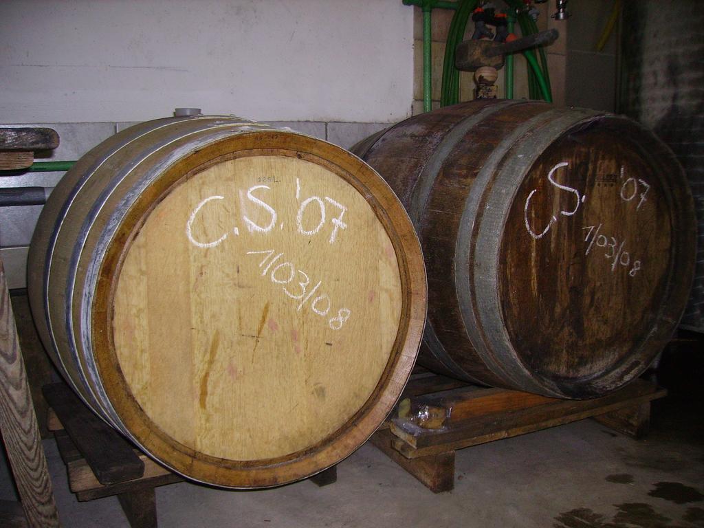 Appartement Weingut Schoberhof バート・グライヒェンベルク 部屋 写真