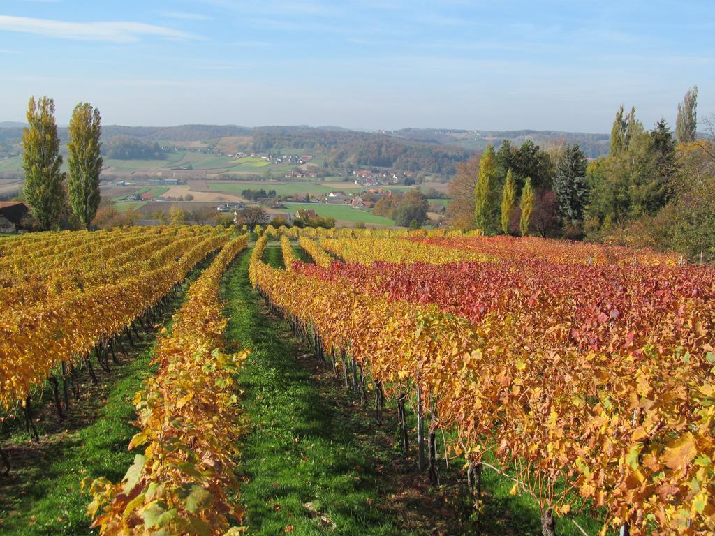 Appartement Weingut Schoberhof バート・グライヒェンベルク 部屋 写真