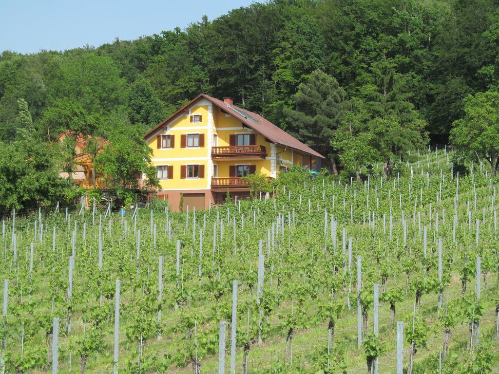 Appartement Weingut Schoberhof バート・グライヒェンベルク 部屋 写真