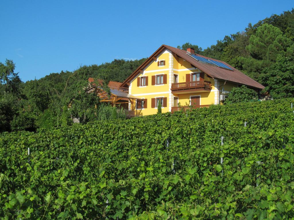 Appartement Weingut Schoberhof バート・グライヒェンベルク エクステリア 写真