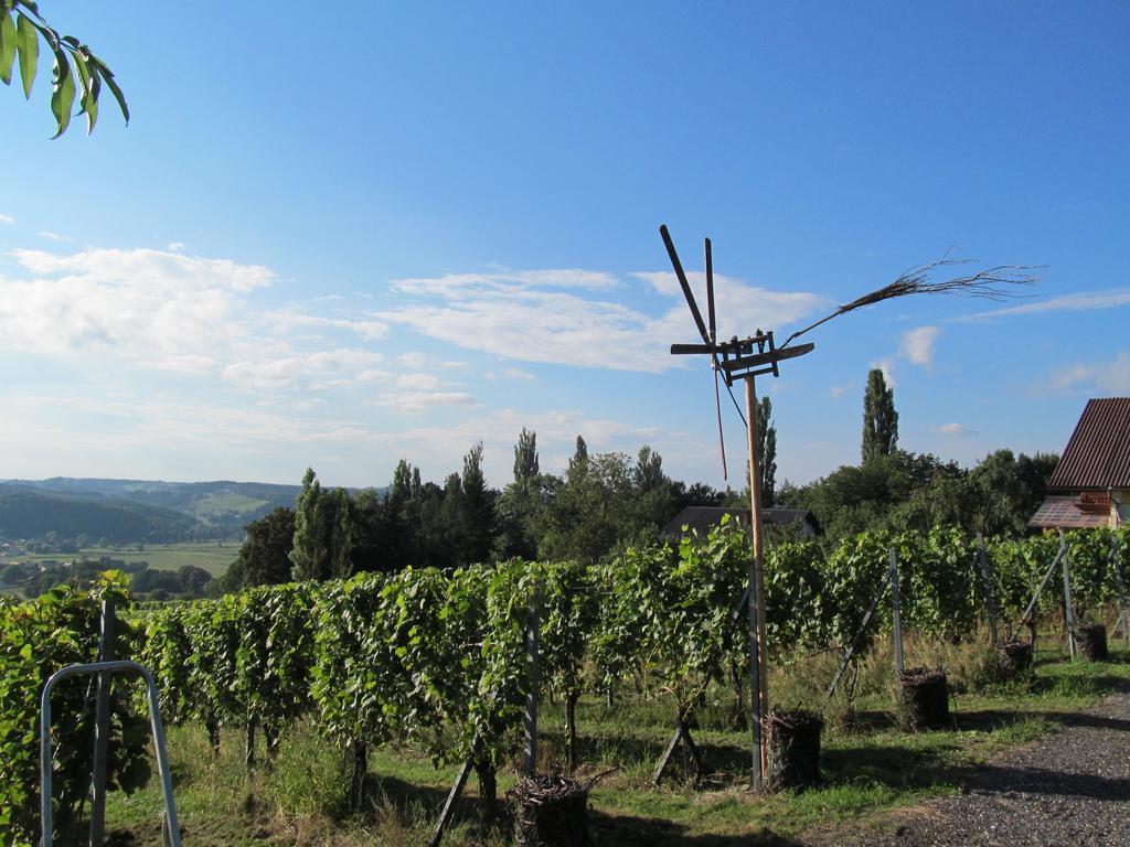 Appartement Weingut Schoberhof バート・グライヒェンベルク エクステリア 写真
