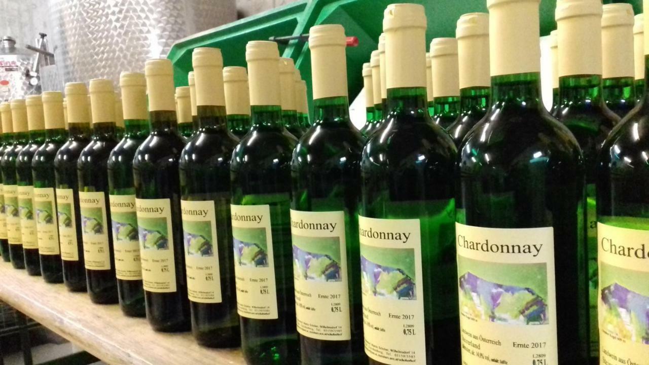 Appartement Weingut Schoberhof バート・グライヒェンベルク エクステリア 写真